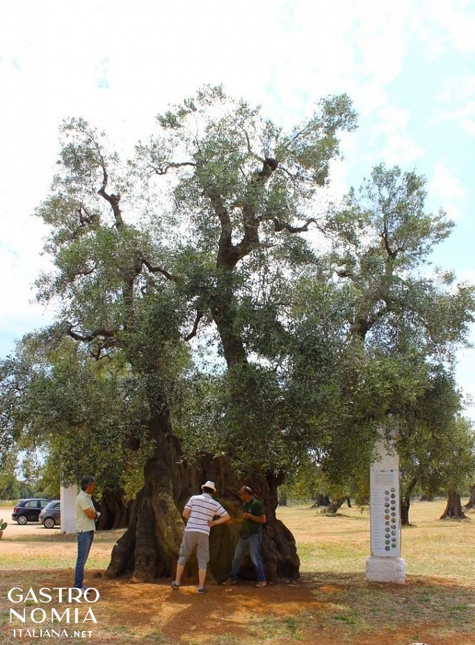 Masseria na Puglia